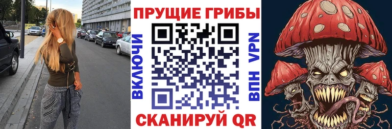 Псилоцибиновые грибы мухоморы  kraken вход  shop формула  Новотитаровская 